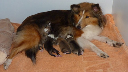 Sind auch alle richtig satt!