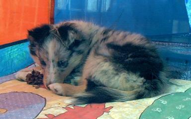 Nach dem Toben soll man ruhen .. n . .  .