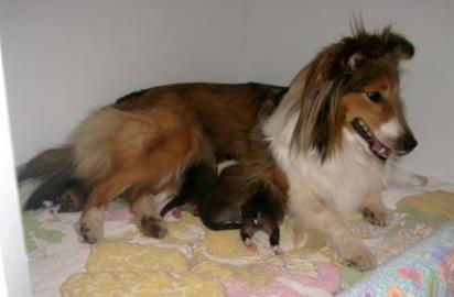 Ayurveda Mutter mit kindern