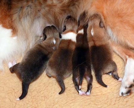 Eine Stärkung bevor es weitergeht!