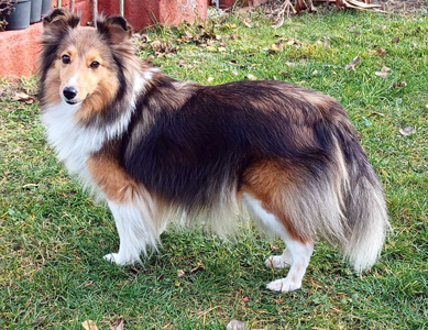 die Mutter, Ayurveda Enchantress Eve-Angeline ( Raya)