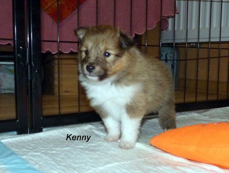 Kenny
